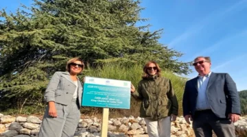 درب أرز الملك تشارلز الثالث يعيد انتعاش التشجير والسياحة البيئية في الشوف